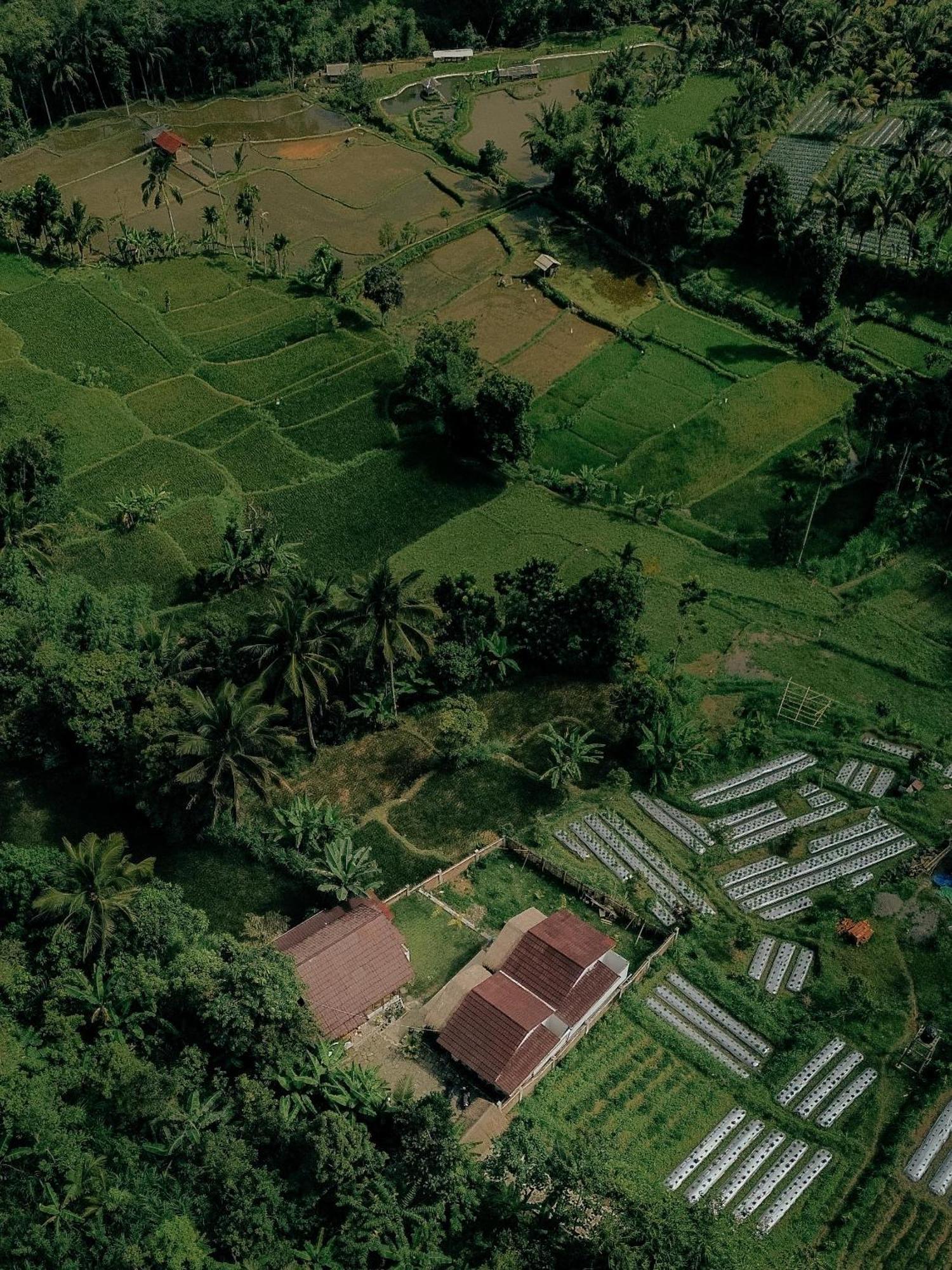 Alora House Lombok Tete Batu Ξενοδοχείο Tetebatu Εξωτερικό φωτογραφία